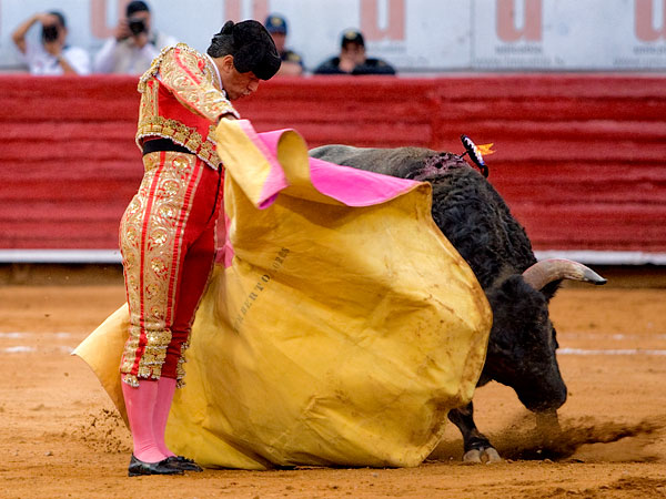 El arte de Humberto Flores