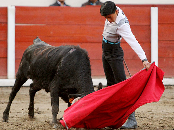 Aprovechar la oportunidad