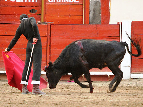 Sintiendose torero