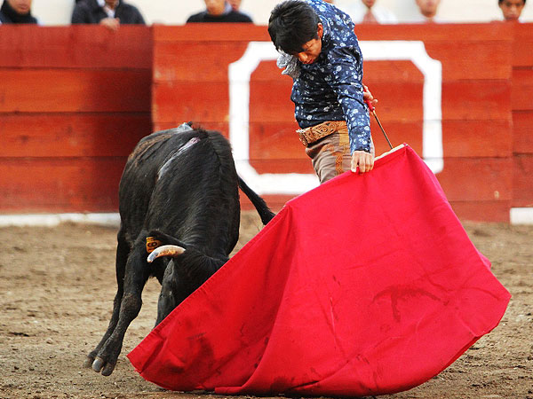 Saboreando la embestida