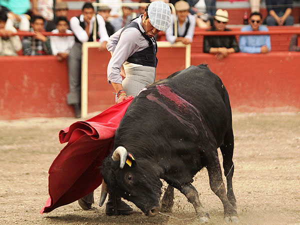 Torer�a y buen gusto