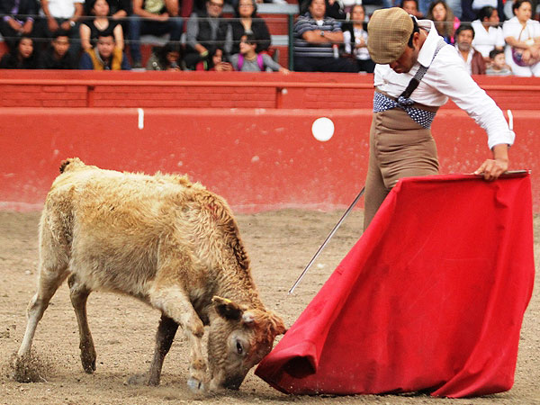 Jos� Luis en plenitud