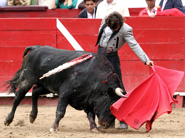 La barbilla metida en el pecho