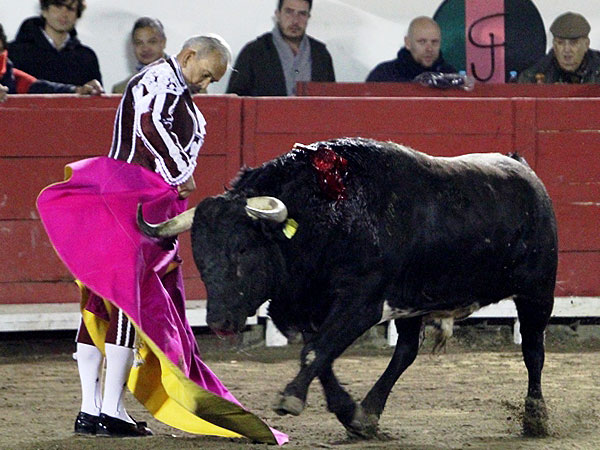 Media se�orial de Dandy