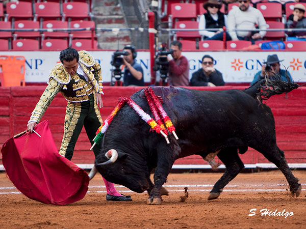 Templando la embestida