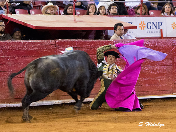 Con el �mpetu de un novillero