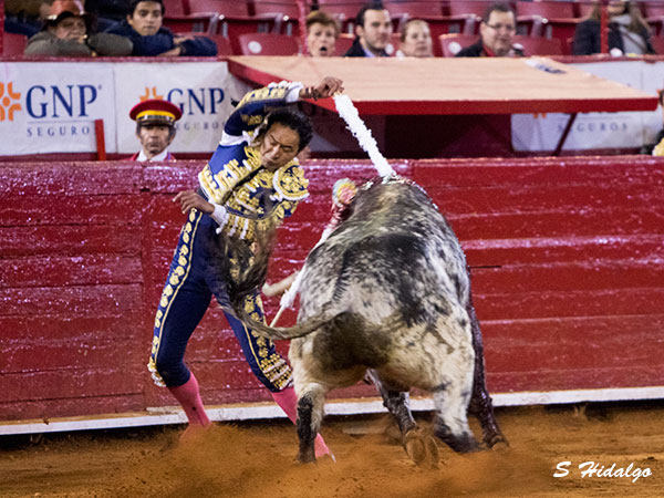 Ovacionado par al viol�n