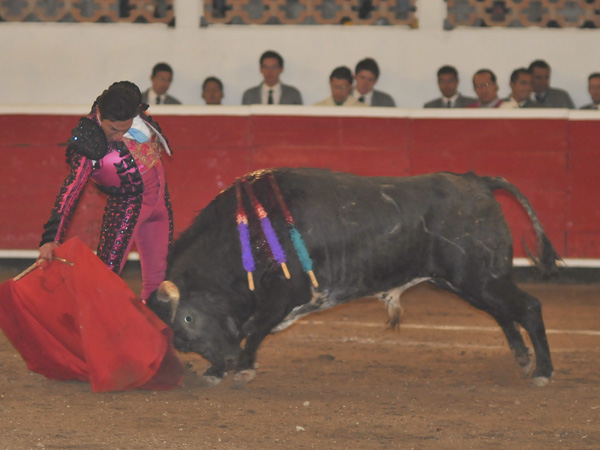 Instantes llenos de arte