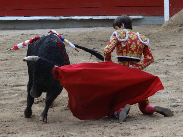 Arrucina, de hinojos