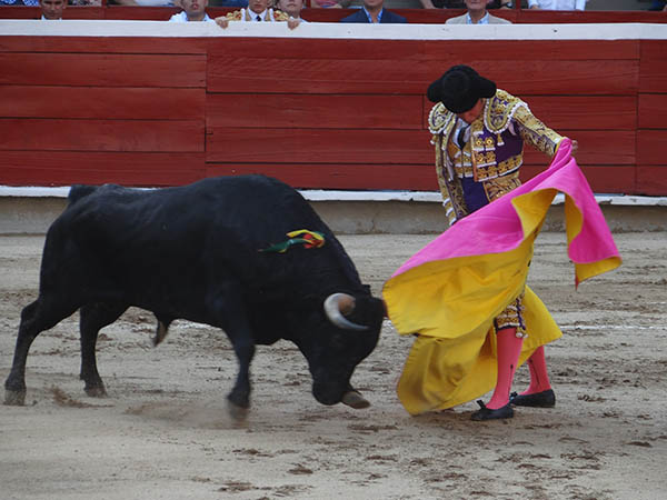 Arranca la feria de Cali