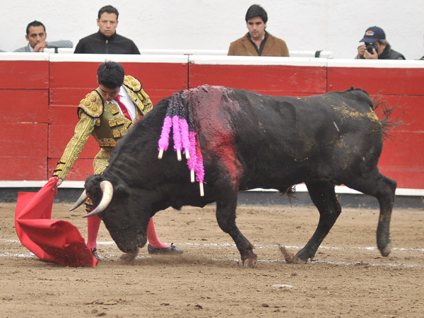 Con oficio, Labastida