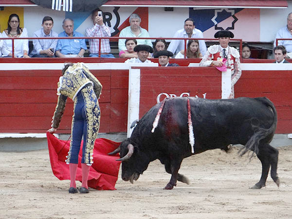 Sin suerte con los ejemplares