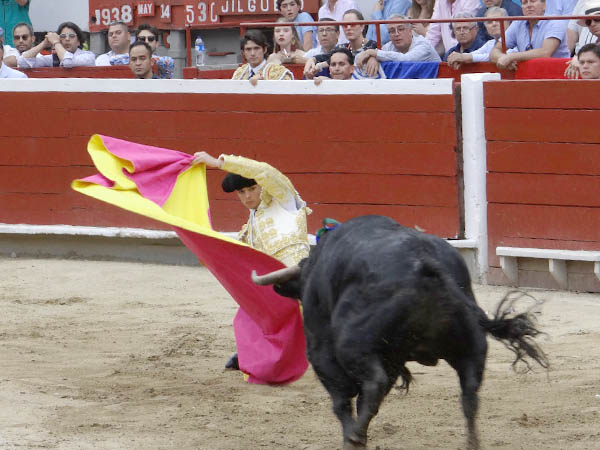 Saludo de Castrill�n