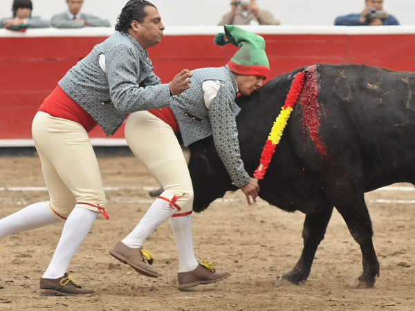 Los forcados en acci�n