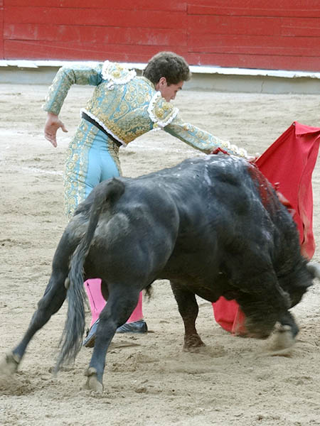 Adornos por la espalda