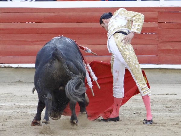 Llev�ndolo toreado