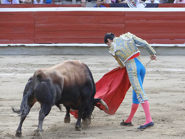 Tirando del casta�o