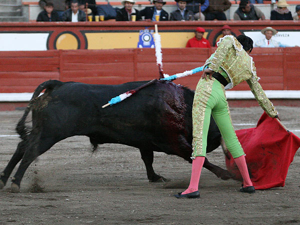 Le saco los muletazos