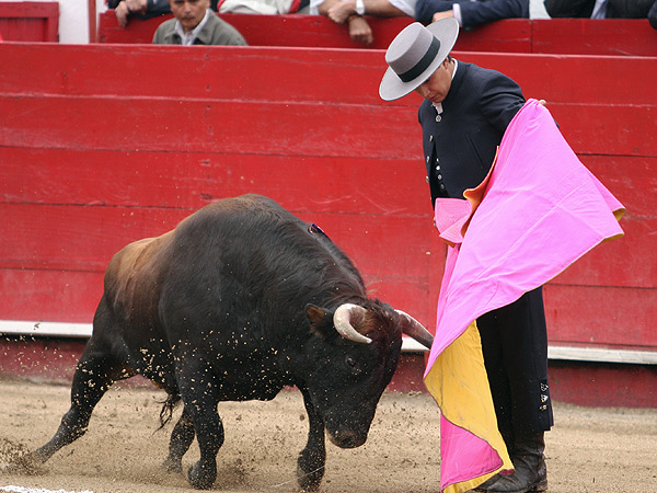 Carlos Y�nez en una ver�nica