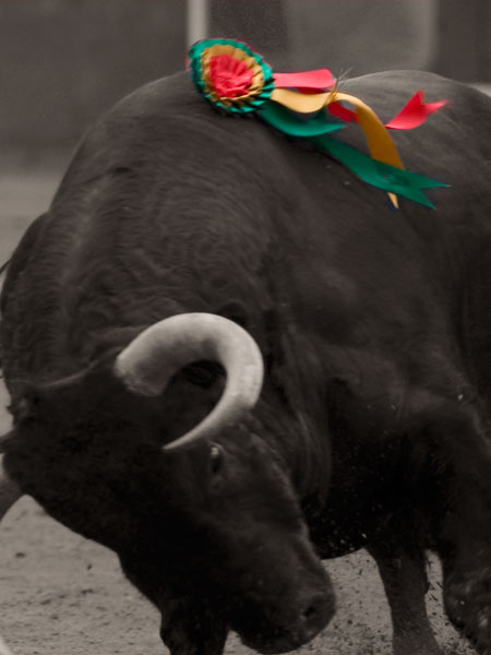 Santa Mar�a de Xalpa