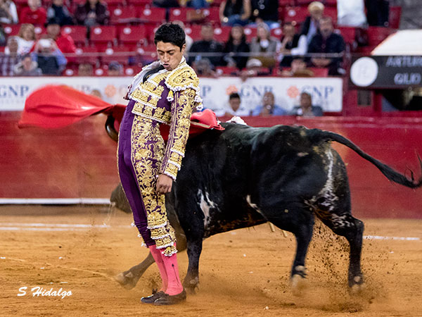 Aguantando la embestida
