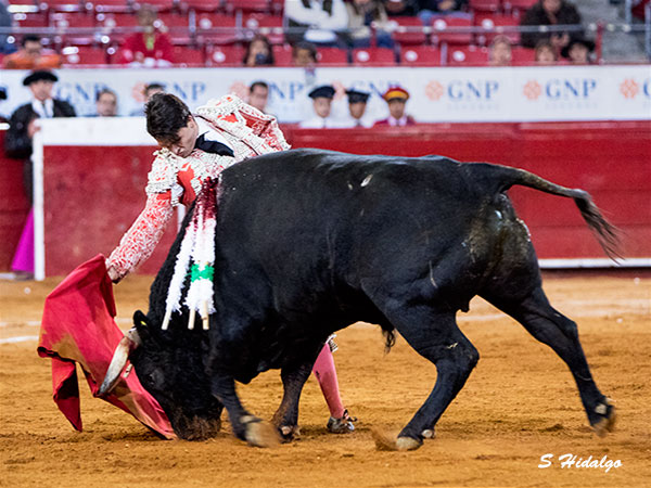 Michelito, buscando el triunfo