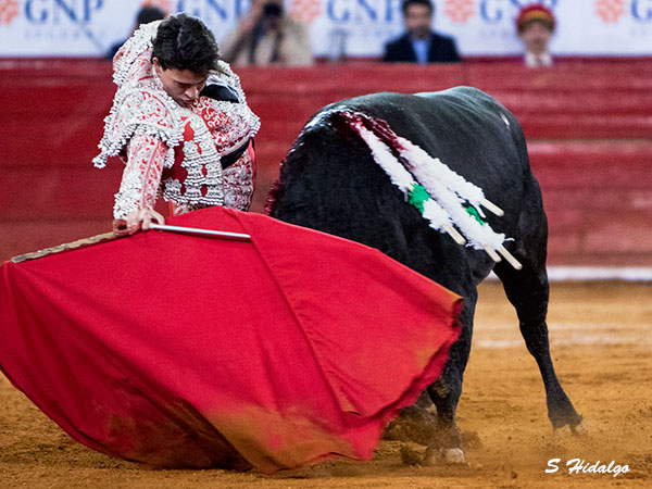 Metido en la muleta