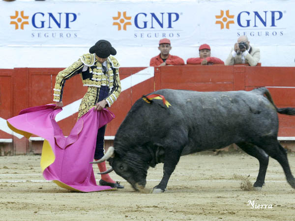 Su sello en la media