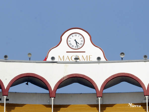 Nuevecito de paquete