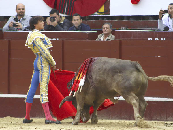 Sin mirar al ejemplar