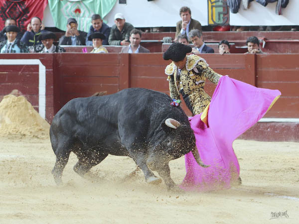 Calibrando al enemigo