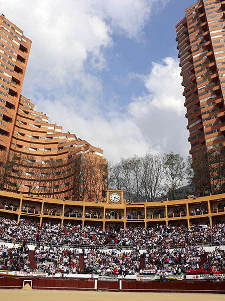 Guardianes de concreto