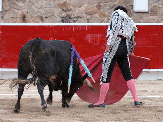 Demostrando lo que sabe