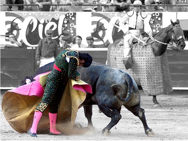 Arte puro  (Barrera)