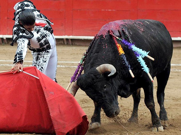 Arte en suelo tapat�o (Sierra)