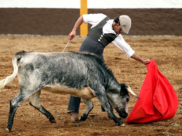 Hizo mucho campo (Karim)