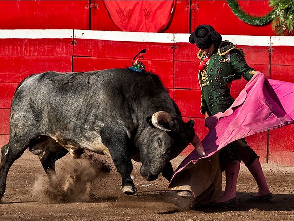 Su sello a la ver�nica (Hidalgo)