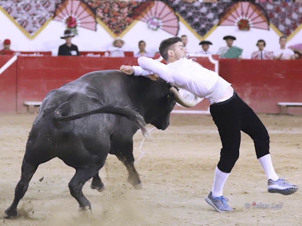 Tambi�n hubo recortadores