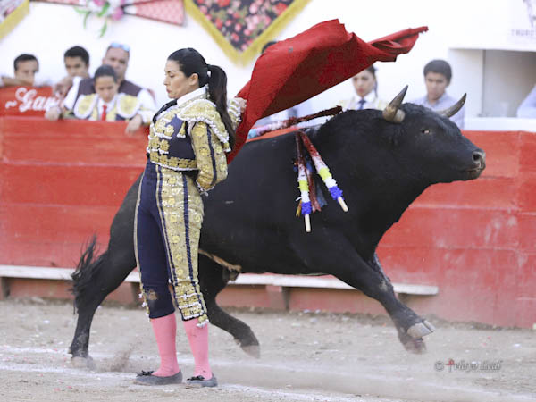 Preparando la muerte