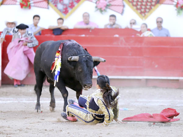 A merced del astado