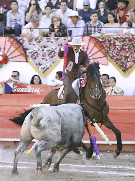 Metiendo la cara abajo