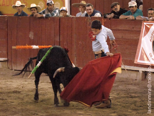 Jaleado en la muleta