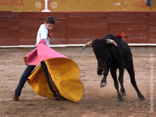 Saludo de G�mez Vega