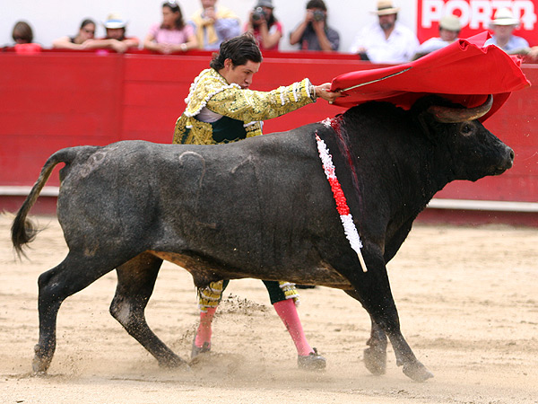 Tragando en el de pecho