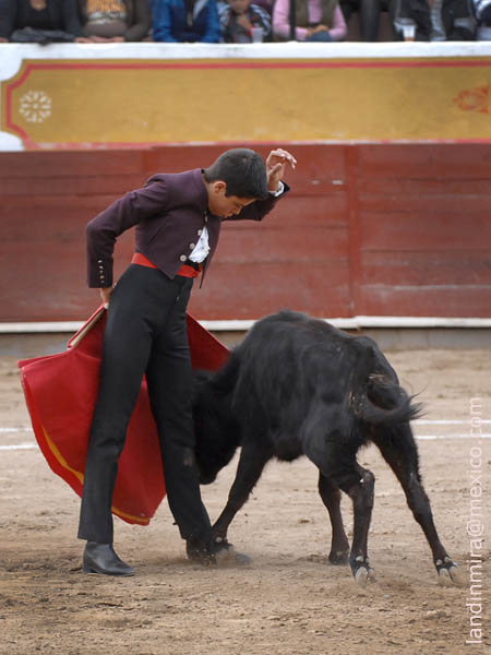 Arrucina frente a Arruza