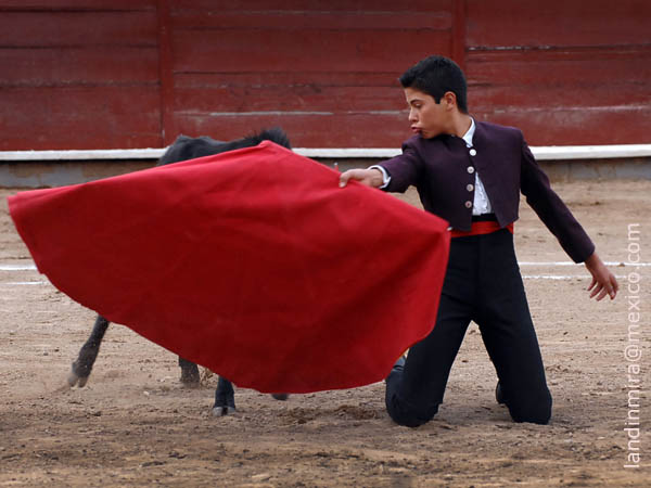 Jos� Mari Pastor con la muleta