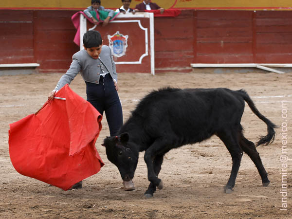 Derechazos de David Adame