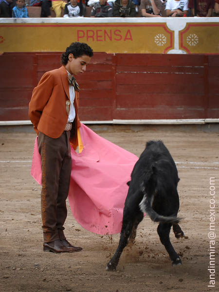 Las gaoneras de Emilio Medina