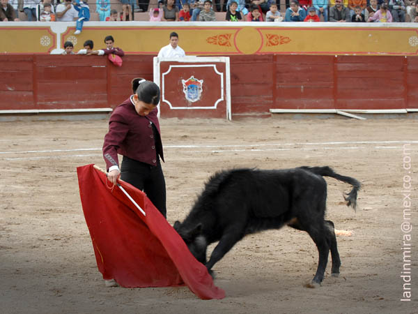 Temple hidroc�lido