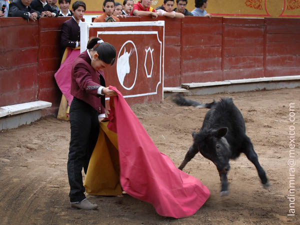 Luisa Fernanda, de la EAT